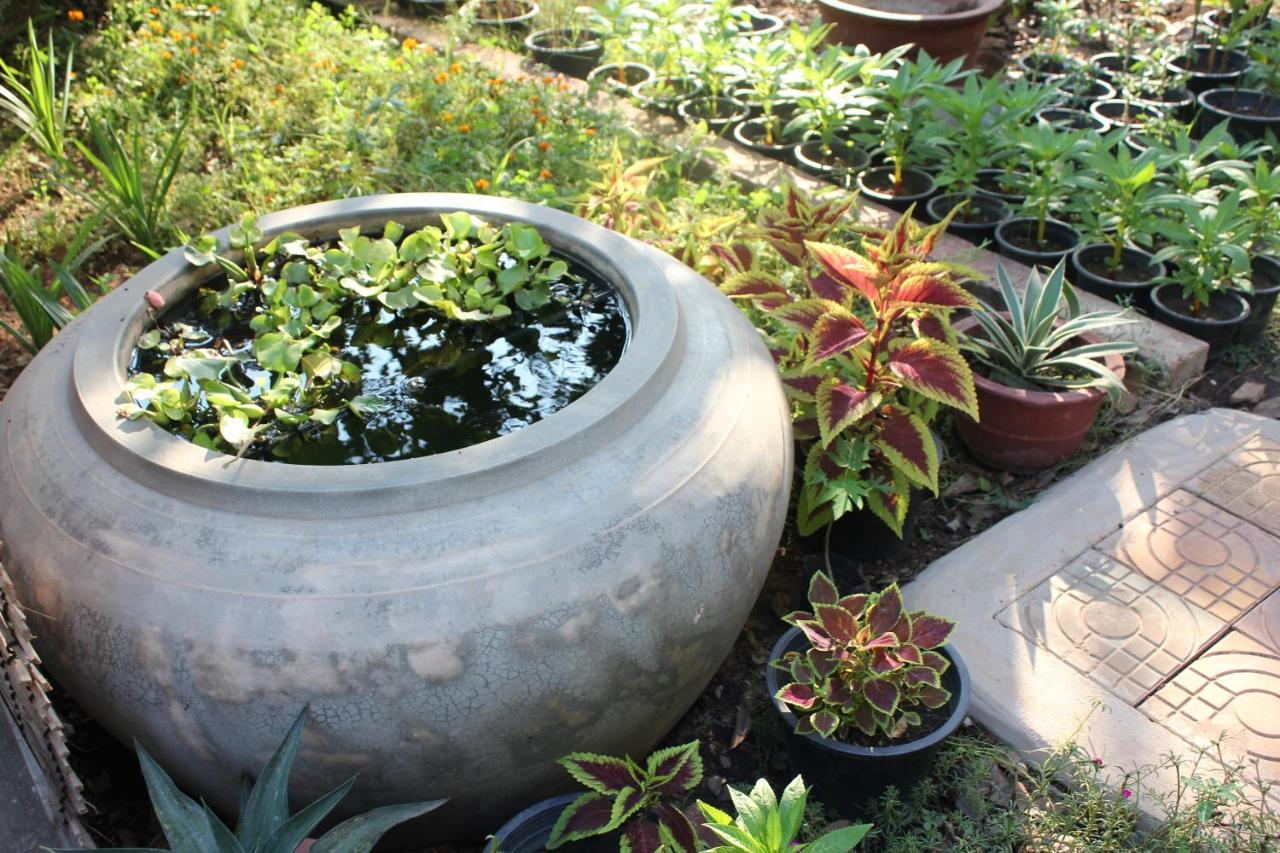Mango Villa Siem Reap Bagian luar foto
