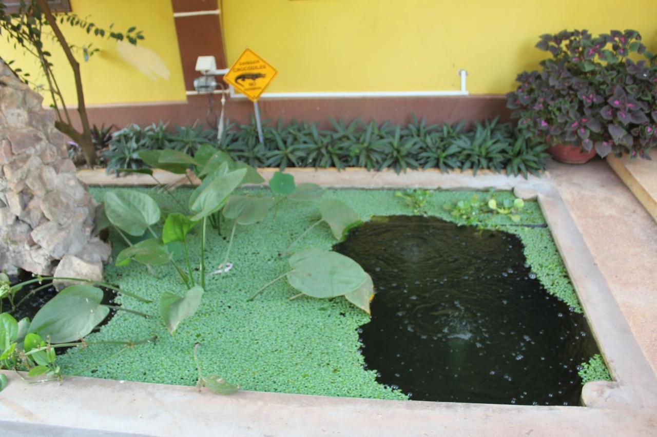 Mango Villa Siem Reap Bagian luar foto